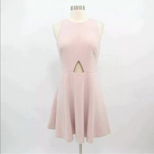 Club Monaco Soft Pink Skater Dress